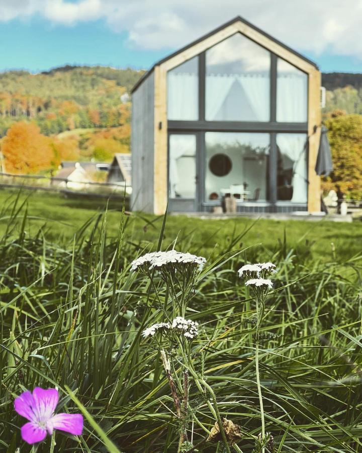Domek Pod Stromcem Czernica (Jelenia Gora) Exterior foto